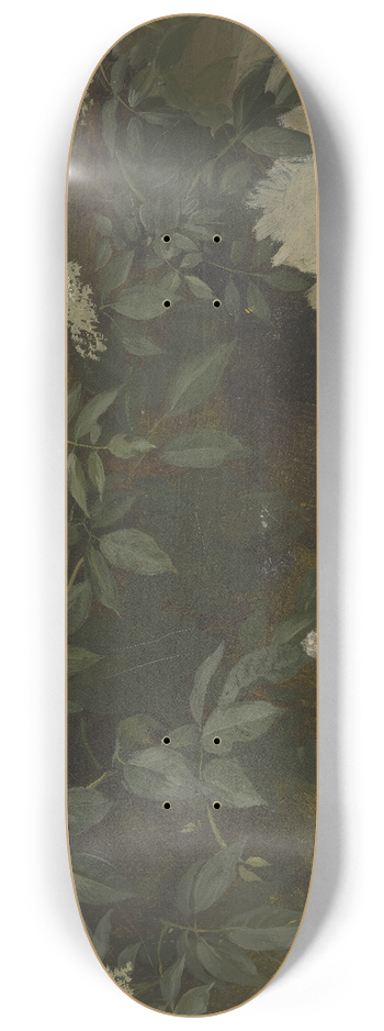 Philipp Rumpf - Flowering elderberry 8.25 inch art skate deck