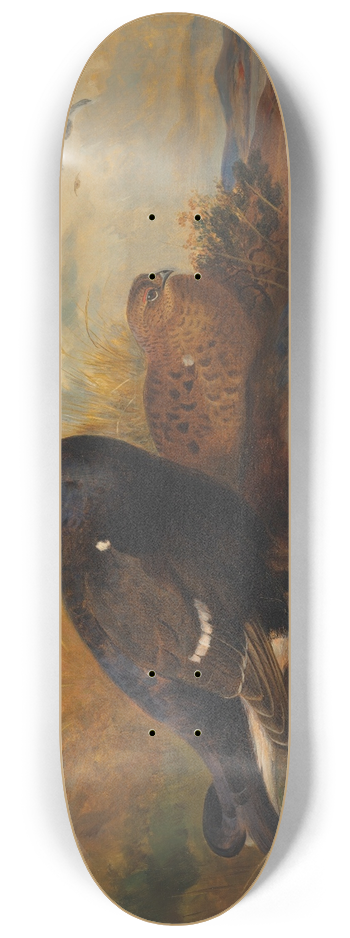 Archibald Thorburn - Blackgame on a rocky outcrop, with a loch beyond 8.25 inch art skate deck