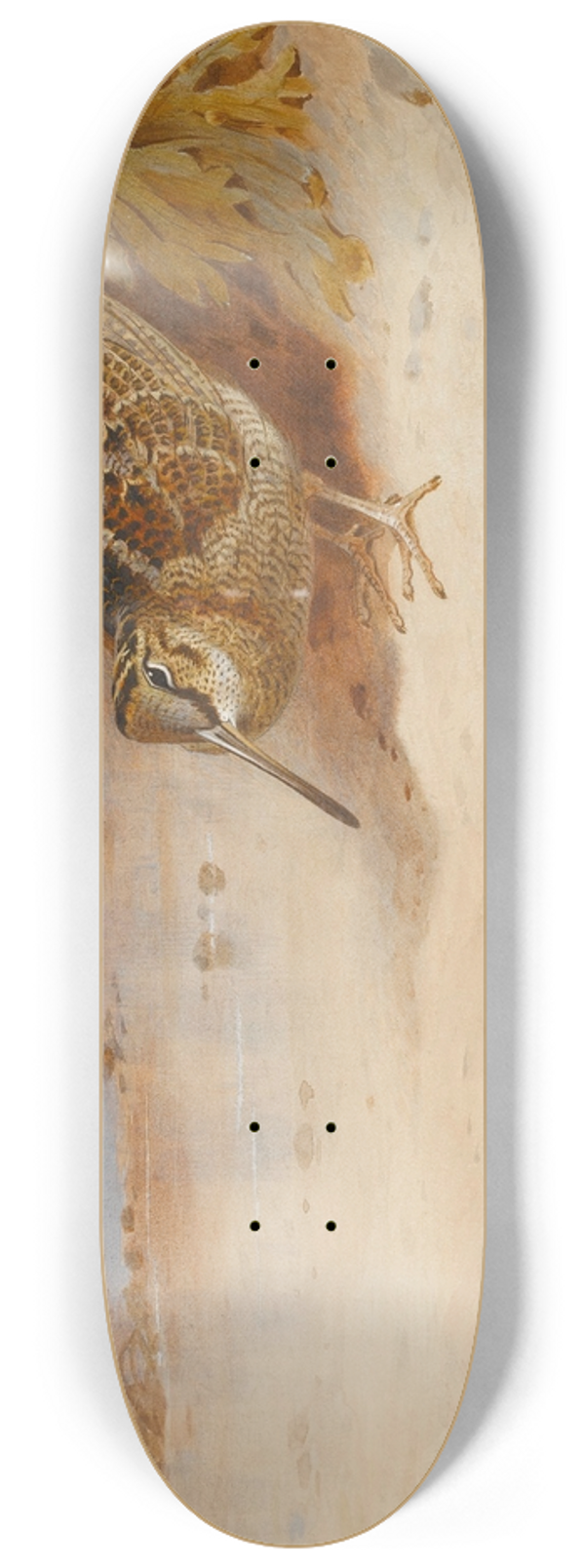 Archibald Thorburn - Hungry And Homeless 8.25 inch art skate deck