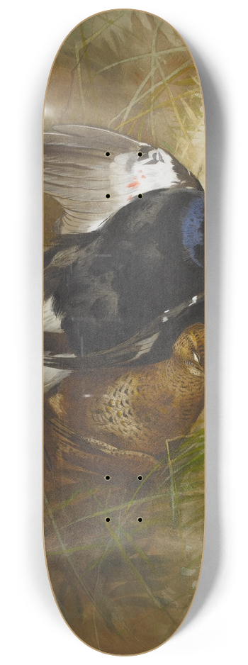 Archibald Thorburn - Still Life Of A Pair Of Blackgame 8.25 inch art skate deck