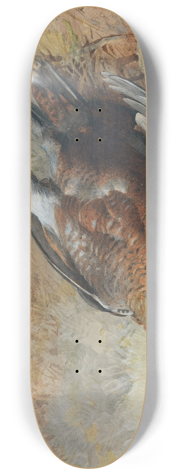 Archibald Thorburn - Study of a grouse 8.25 inch art skate deck