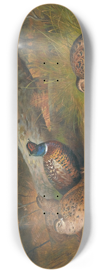 Archibald Thorburn - The Fallen Beech- A Cock And Three Hen Pheasants With A Wasp 8.25 inch art skate deck