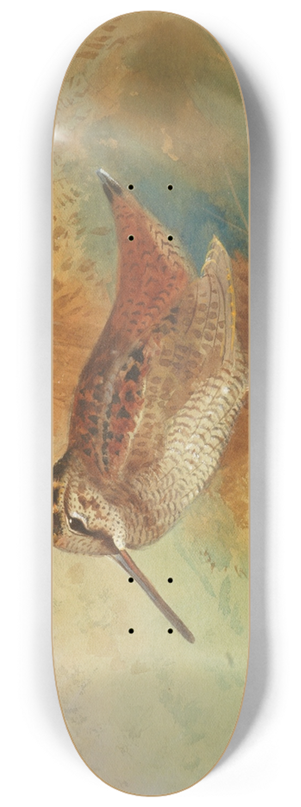 Archibald Thorburn - Woodcock at waters edge 8.25 inch art skate deck