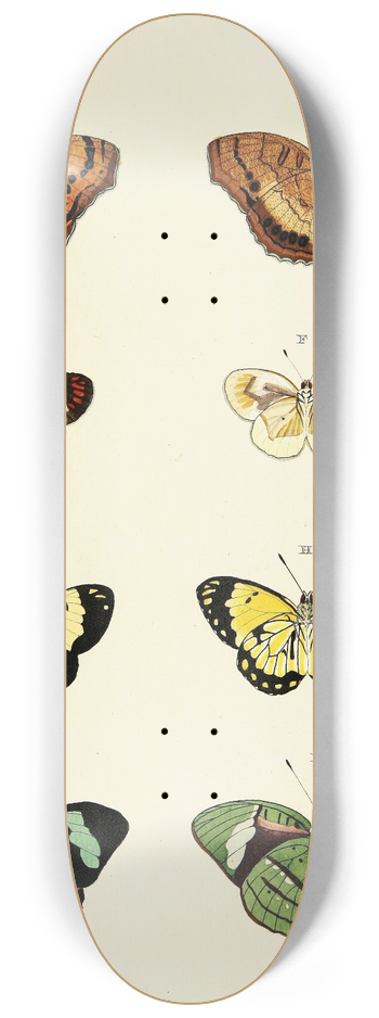 Pieter Cramer - Foreign butterflies occurring in the three continents Asia, Africa and America Pl.144 8.25 inch art skate deck