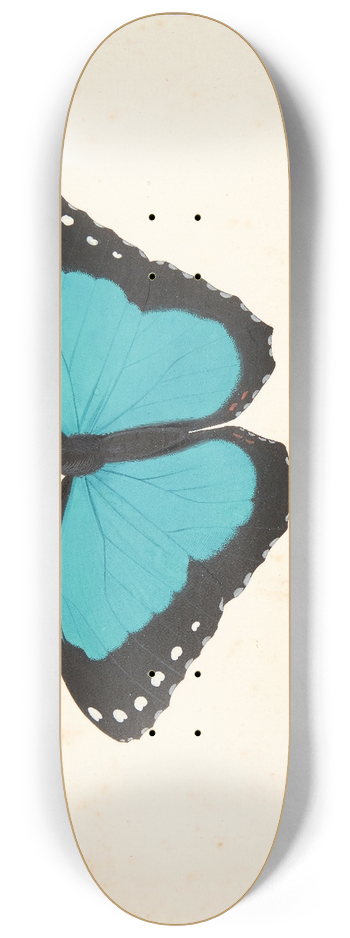 Pieter Holsteijn - En eksotisk 8.25 inch art skate deck