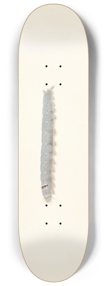 Pieter Holsteijn - En natsommerfuglelarve 8.25 inch art skate deck