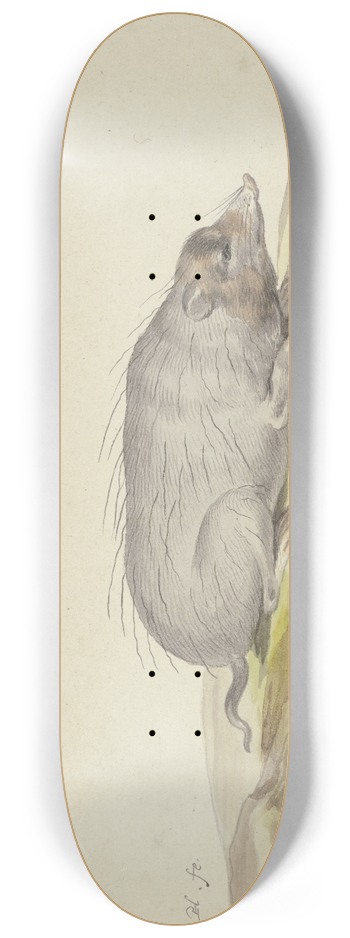 Pieter Holsteijn - Mole to the right 8.25 inch art skate deck