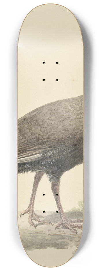 Pieter Pietersz. Barbiers - Helmparelhoen 8.25 inch art skate deck