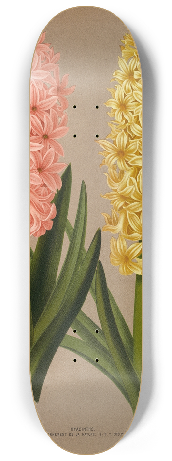 Arentina Hendrica Arendsen - Hyacinths 4 8.25 inch art skate deck