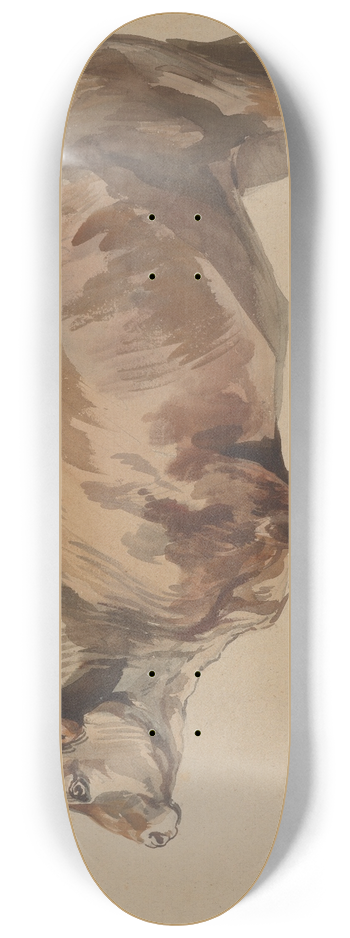Piotr Michaowski - Study of a fawn ox 8.25 inch art skate deck