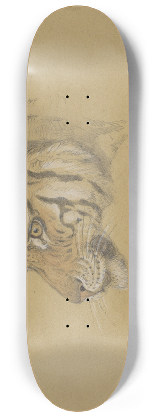 Raden Saleh - Kop van een Tijger 8.25 inch art skate deck