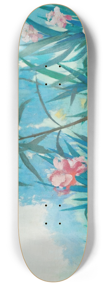 Ramn Casas - Oleanders 8.25 inch art skate deck