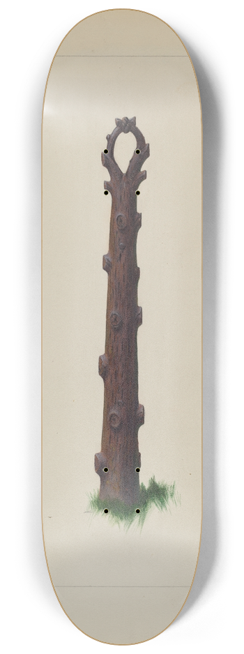 Richard Correll - Tree Trunk Hitching Post 8.25 inch art skate deck
