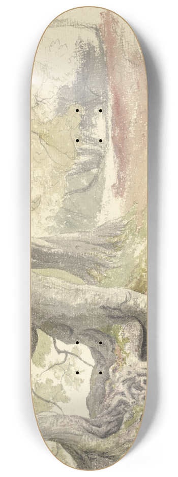 Robert Hills - Beech Trees 8.25 inch art skate deck