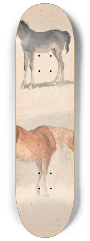 Robert Hills - Two Studies; a Foal, and a Mare and Foal 8.25 inch art skate deck