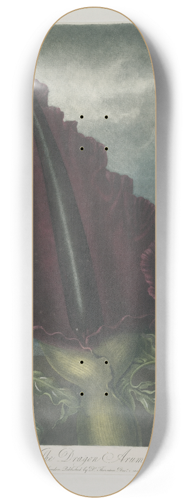 Robert John Thornton - The Dragon Arum 8.25 inch art skate deck