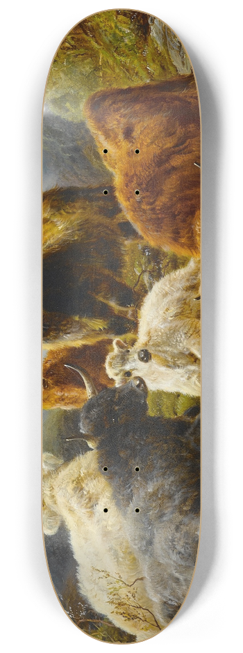 Robert Watson - Highland cattle 8.25 inch art skate deck