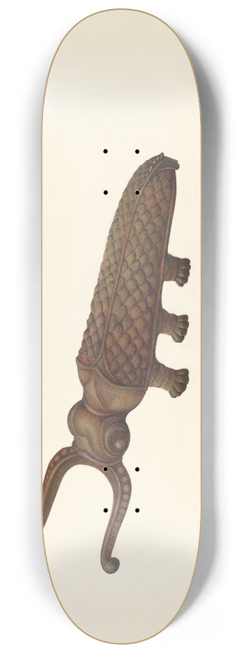Robert W.R. Taylor - Bootjack 8.25 inch art skate deck