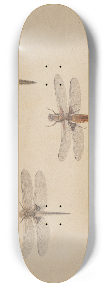 Rochus van Veen - Three Dragonflies 8.25 inch art skate deck