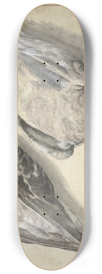 Rochus van Veen - Twee dode duiven 8.25 inch art skate deck