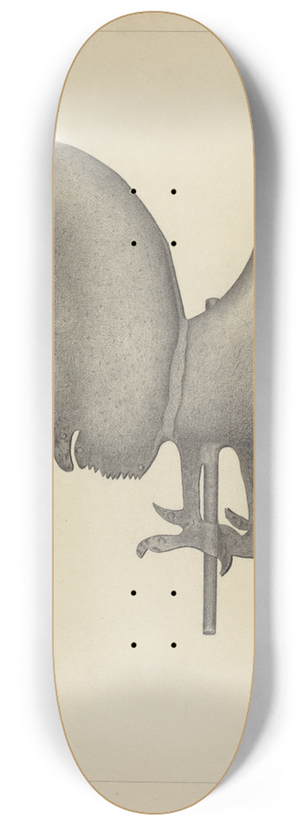 Rollington Campbell - Weather Vane 8.25 inch art skate deck