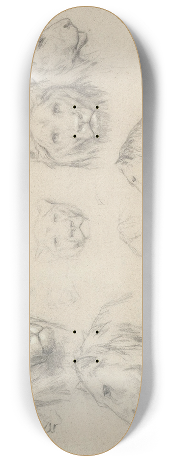 Rosa Bonheur - Study Of Lions And Lionesses 8.25 inch art skate deck