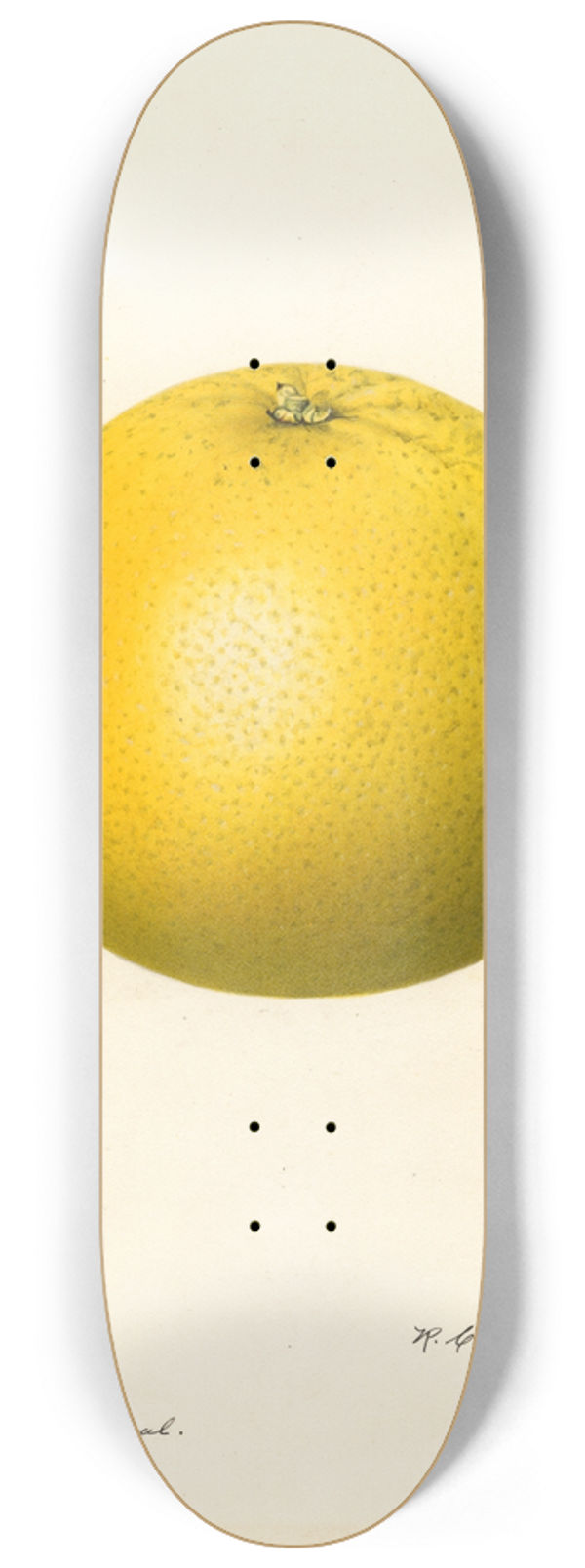 Royal Charles Steadman - Citrus paradisi: Marsh 8.25 inch art skate deck