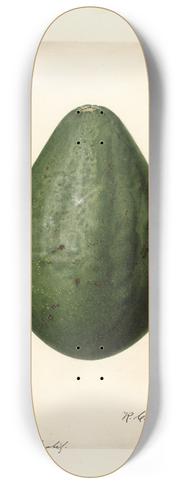 Royal Charles Steadman - Persea: Taft 8.25 inch art skate deck