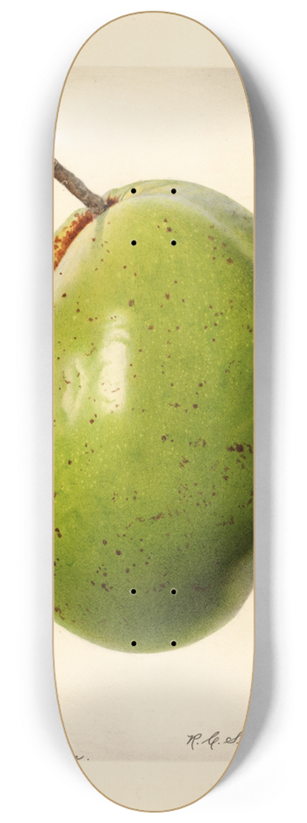 Royal Charles Steadman - Persea: Waldin 8.25 inch art skate deck