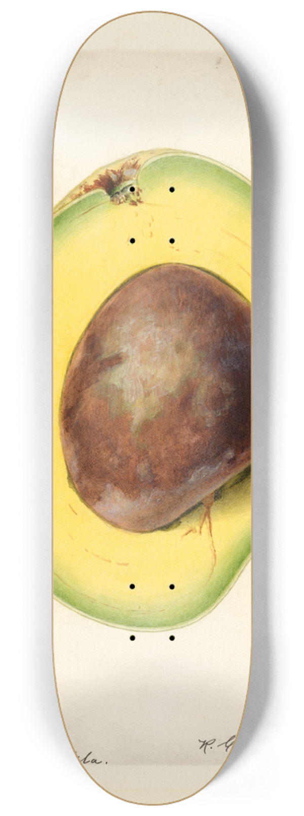 Royal Charles Steadman - Persea: Waldin 8.25 inch art skate deck