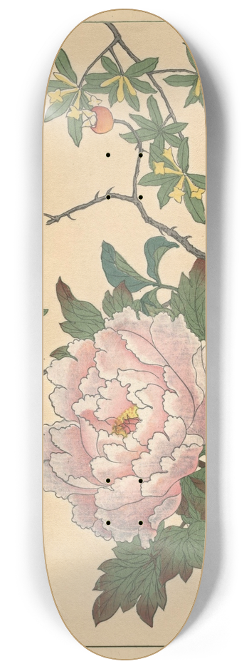 Sakai Hoitsu - Peony 8.25 inch art skate deck