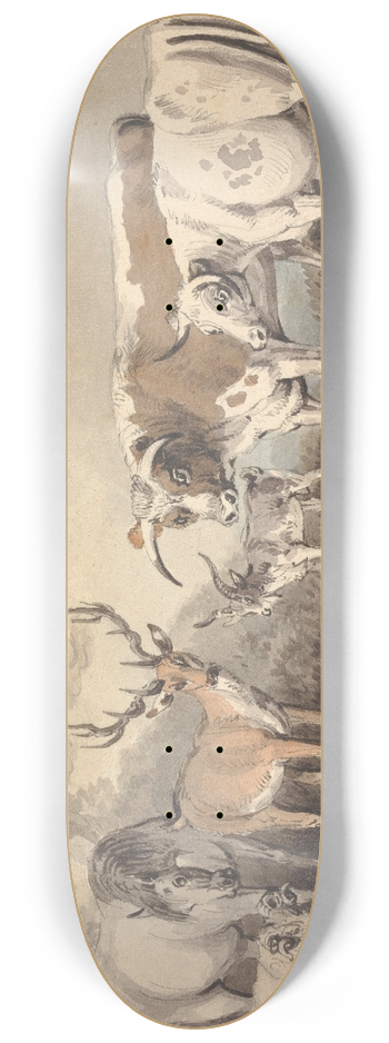 Samuel Howitt - A Frog Confronting a Circle of Animals 8.25 inch art skate deck