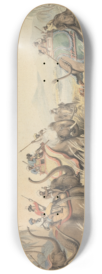 Samuel Howitt - The Tiger at Bay 8.25 inch art skate deck