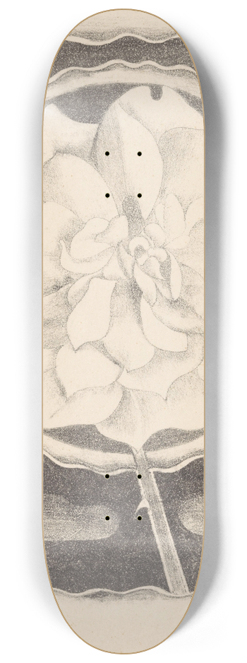 Samuel Jessurun de Mesquita - Roos (in cirkel, met golvende rand) 8.25 inch art skate deck