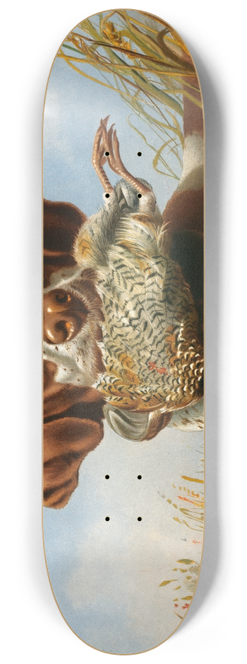 Arthur Fitzwilliam Tait - Pointer and Quail 8.25 inch art skate deck