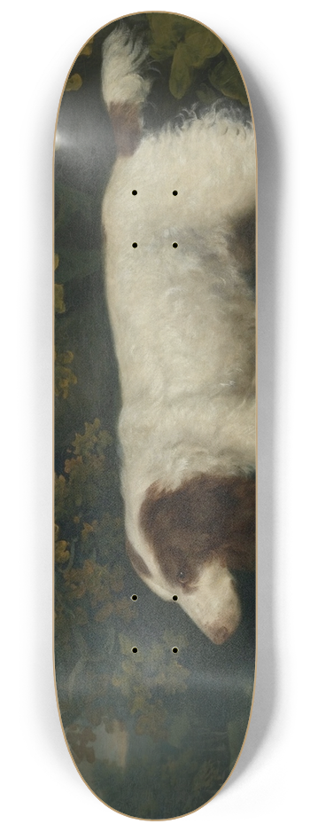 Sawrey Gilpin - A Spaniel in a Landscape 8.25 inch art skate deck