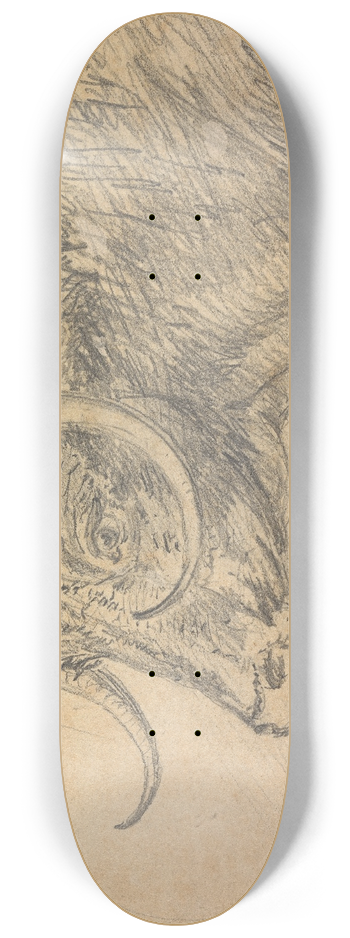 Sawrey Gilpin - Head of a Bull 8.25 inch art skate deck