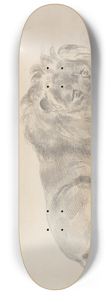Sawrey Gilpin - Lion Lying Down. 8.25 inch art skate deck