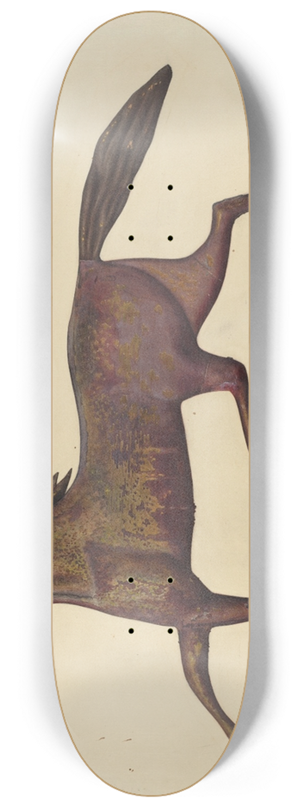 Selma Sandler - Weather Vane 8.25 inch art skate deck