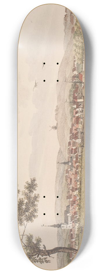 Sren L. Lange - Randers 8.25 inch art skate deck