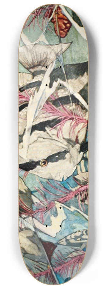 Stephen Haweis - Atlantic Spadefish 8.25 inch art skate deck