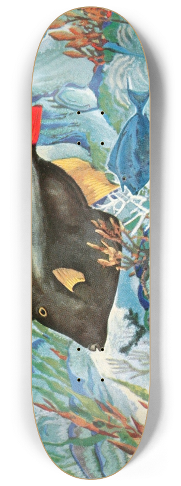 Stephen Haweis - Foolfish 8.25 inch art skate deck