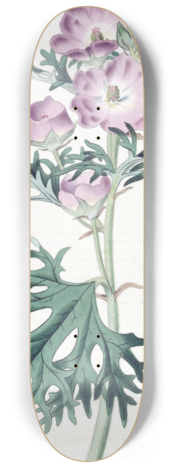 Sydenham Edwards - Purple Mallow 8.25 inch art skate deck