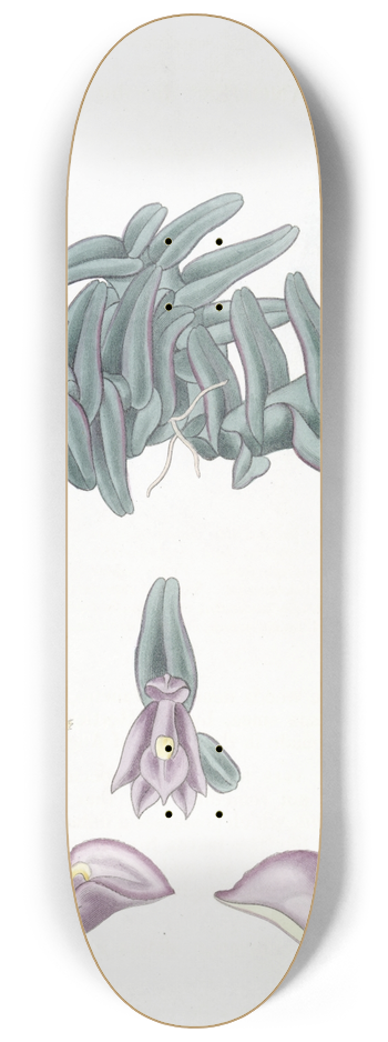 Sydenham Edwards - Purple Nanodes 8.25 inch art skate deck