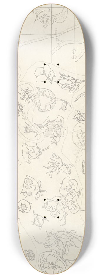 Theo Colenbrander - 33 Bloemornamenten voor aardewerkdecoratie en zes halfprofielen voor vazen en bakjes 8.25 inch art skate deck