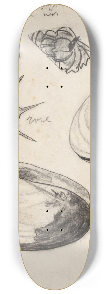 Theo Nieuwenhuis - Studieblad met schelpen 8.25 inch art skate deck