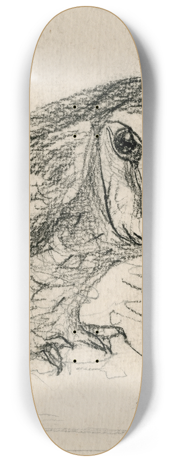 Theo van Hoytema - Een kleine uil 8.25 inch art skate deck