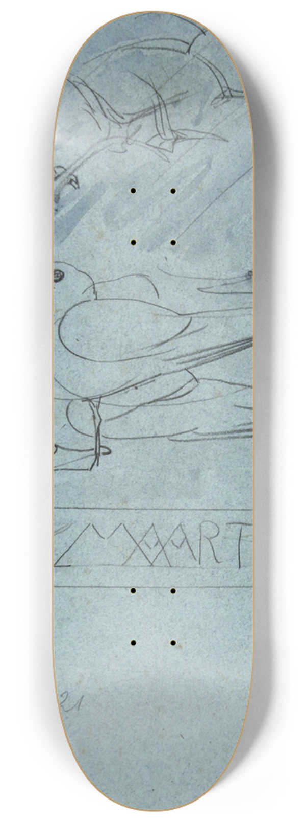 Theo van Hoytema - Meeuwen, maart 8.25 inch art skate deck