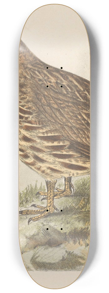 Theo van Hoytema - Partridge 8.25 inch art skate deck