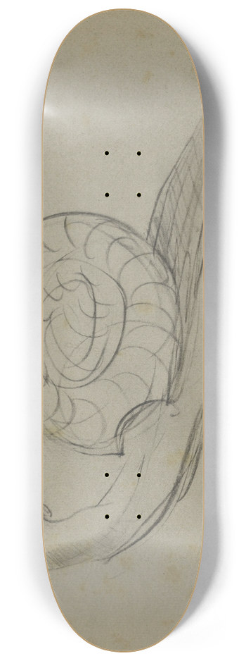 Theo van Hoytema - Slak 8.25 inch art skate deck